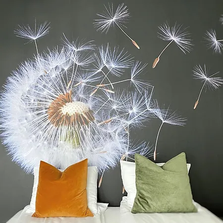 بيت شباب Vikingskipet