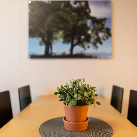 Vikingskipet Hamar (Hedmark)