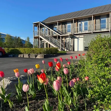 Vikingskipet * هامار