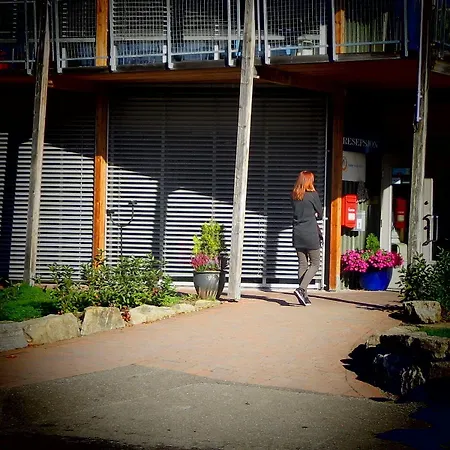 Vikingskipet Hostel *