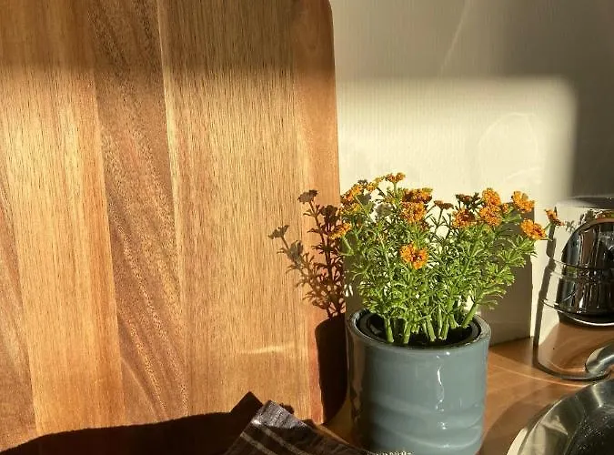 Vikingskipet Vandrerhjem