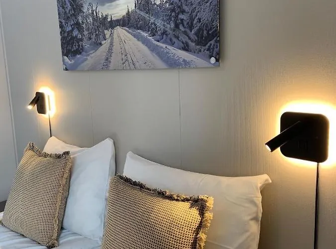 Vandrerhjem Vikingskipet Hamar (Hedmark)